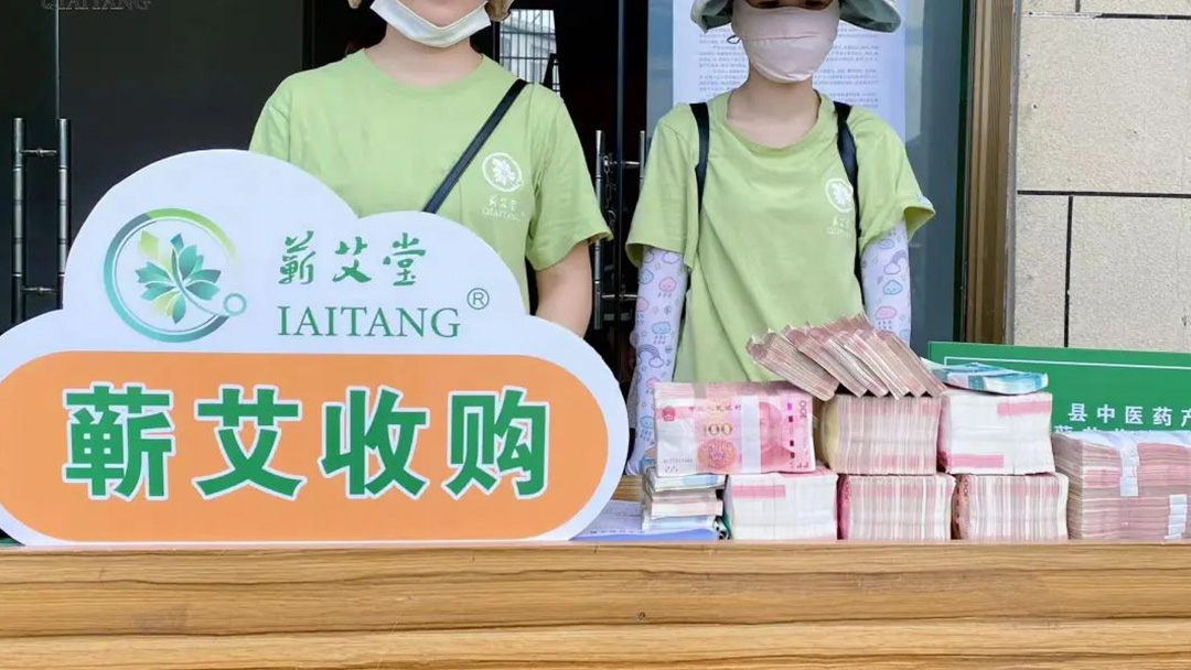 2023蘄艾收購(gòu)丨蘄艾堂上門進(jìn)村 ?應(yīng)收盡收·片片歸倉(cāng)