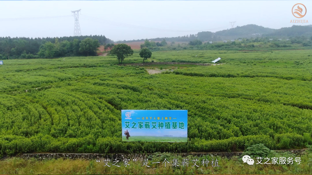 官宣丨艾之家企業(yè)簡(jiǎn)介