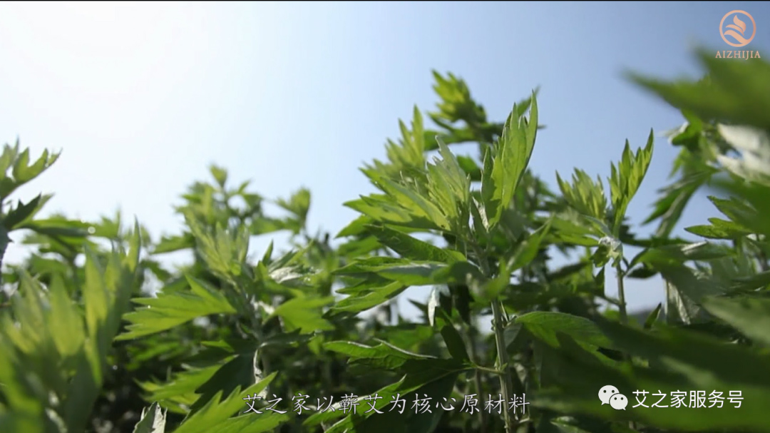 官宣丨艾之家企業(yè)簡(jiǎn)介